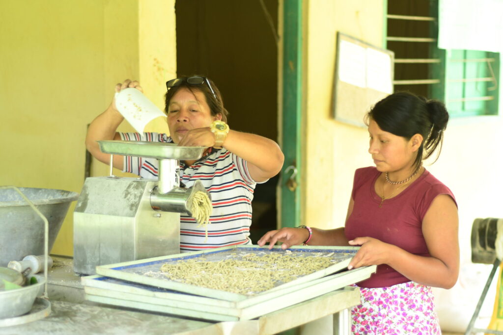 Granja integral de Tuis Tuis, modelo productivo incluyente