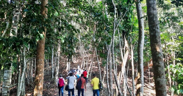 Balance de resultados de los proyectos ecoturismo sostenible y economía circular