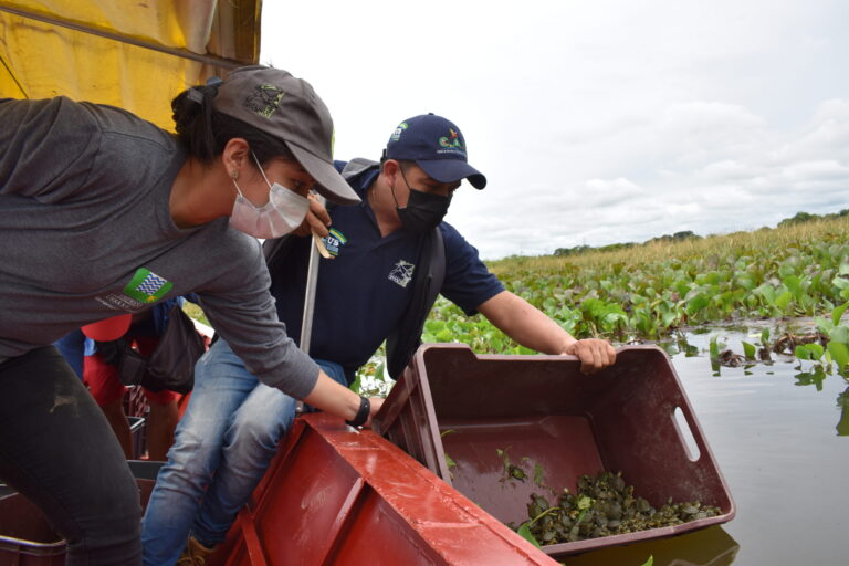 Con participación de URRÁ, neonatos de tortuga hicotea son liberados en Ciénaga de Ayapel en desarrollo de acciones de control a fauna silvestre