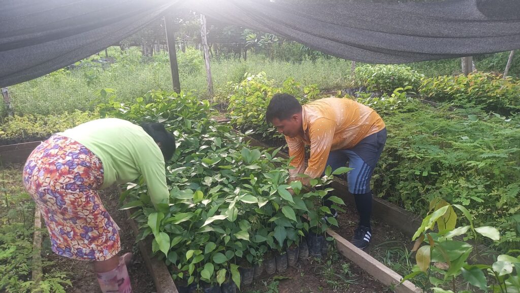 Colombia Sostenible reconoce el trabajo ancestral de los emberás del Alto Sinú