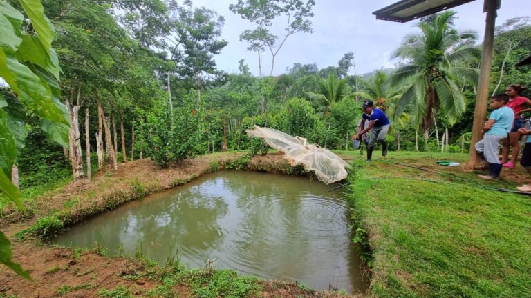 Avances en buenas prácticas de pesca en el embalse URRÁ