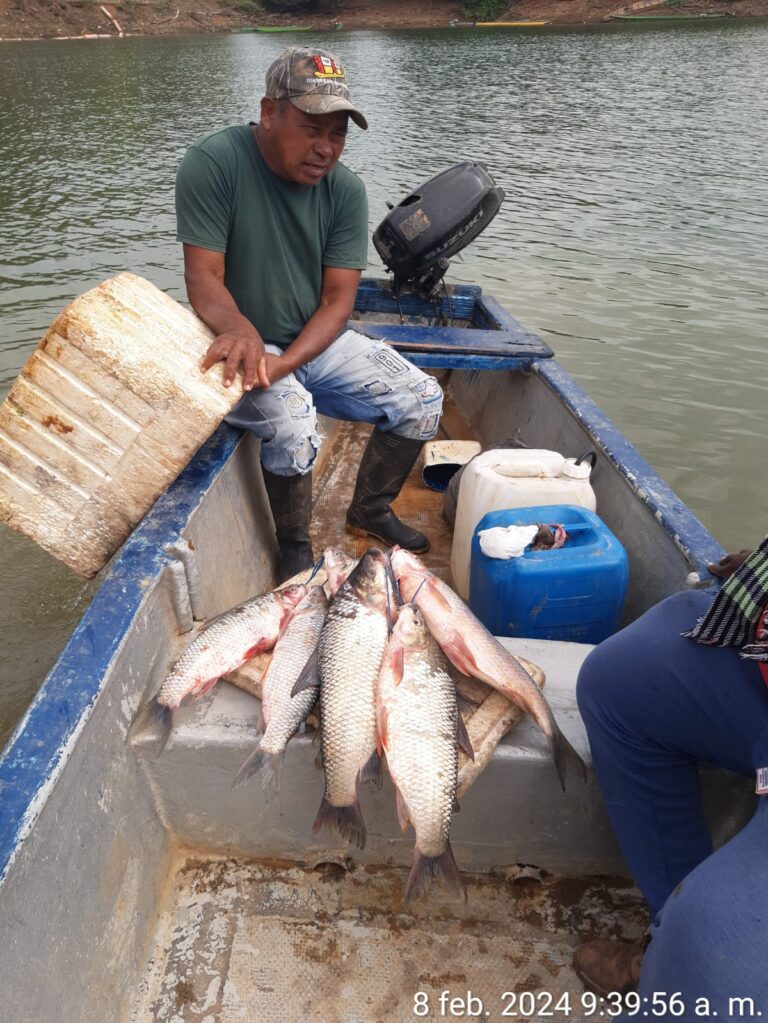 Producción pesquera en el embalse URRÁ suficiente para seguridad alimentaria y comercialización de excedentes