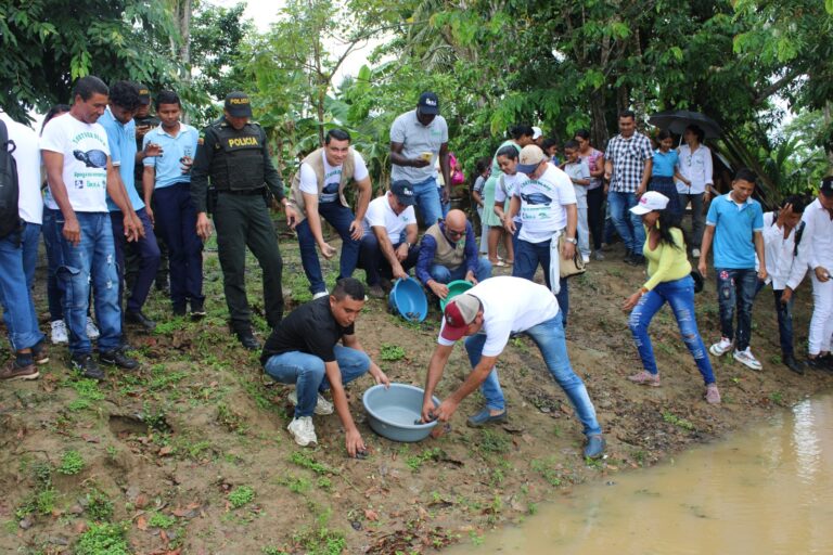 X evento de liberación de neonatos de tortuga de río en las palomas