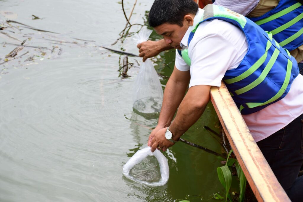 Alrededor de 80 millones de peces reofilicos se han repoblado en 22 años en embalse URRÁ