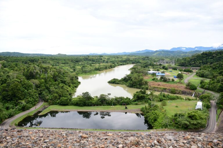 Un paso más en la Alianza Carbono Neutral de empresas del Sector Eléctrico Colombiano