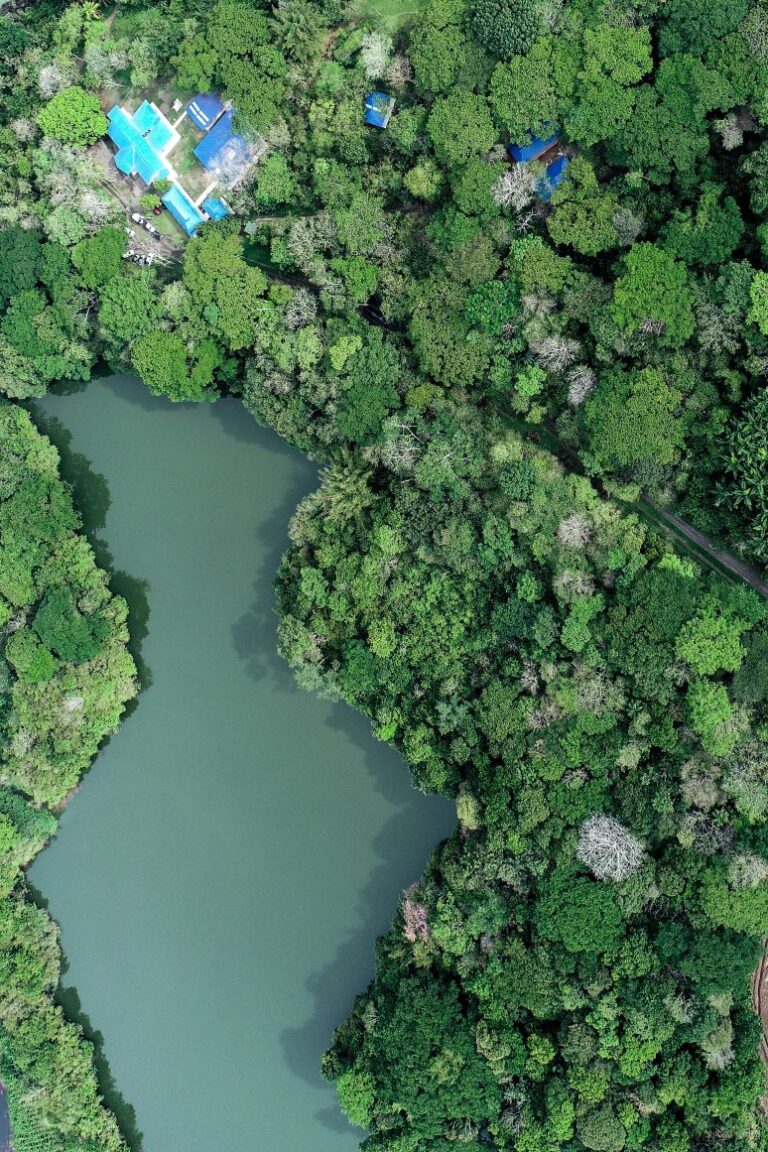 URRÁ apoya en Tierralta la producción de alimentos alternativos a base de plantas acuáticas y otros productos agrícolas