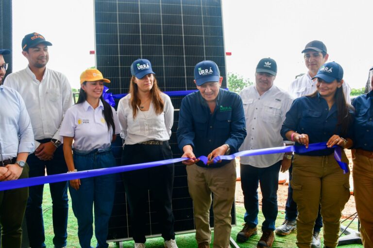 Desarrollo sostenible en Córdoba con la puesta en marcha del parque solar INTI I
