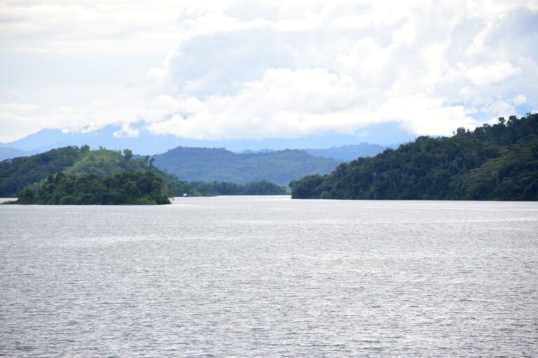 Soluciones a la mano para combatir el cambio climático