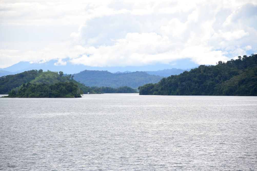 Soluciones a la mano para combatir el cambio climático