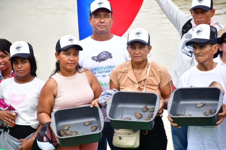 220 tortugas liberadas en su medio natural
