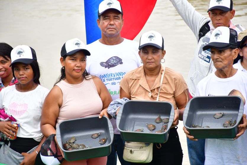 220 tortugas liberadas en su medio natural