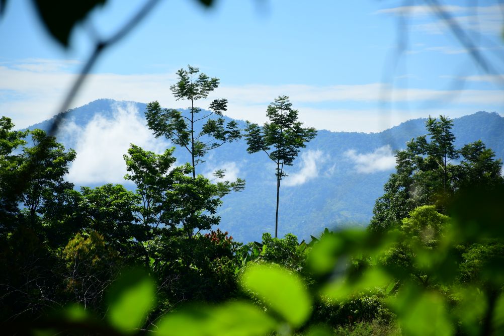 Córdoba es un territorio de biodiversidad única, y URRÁ se enorgullece de ser custodios de una parte de este patrimonio natural