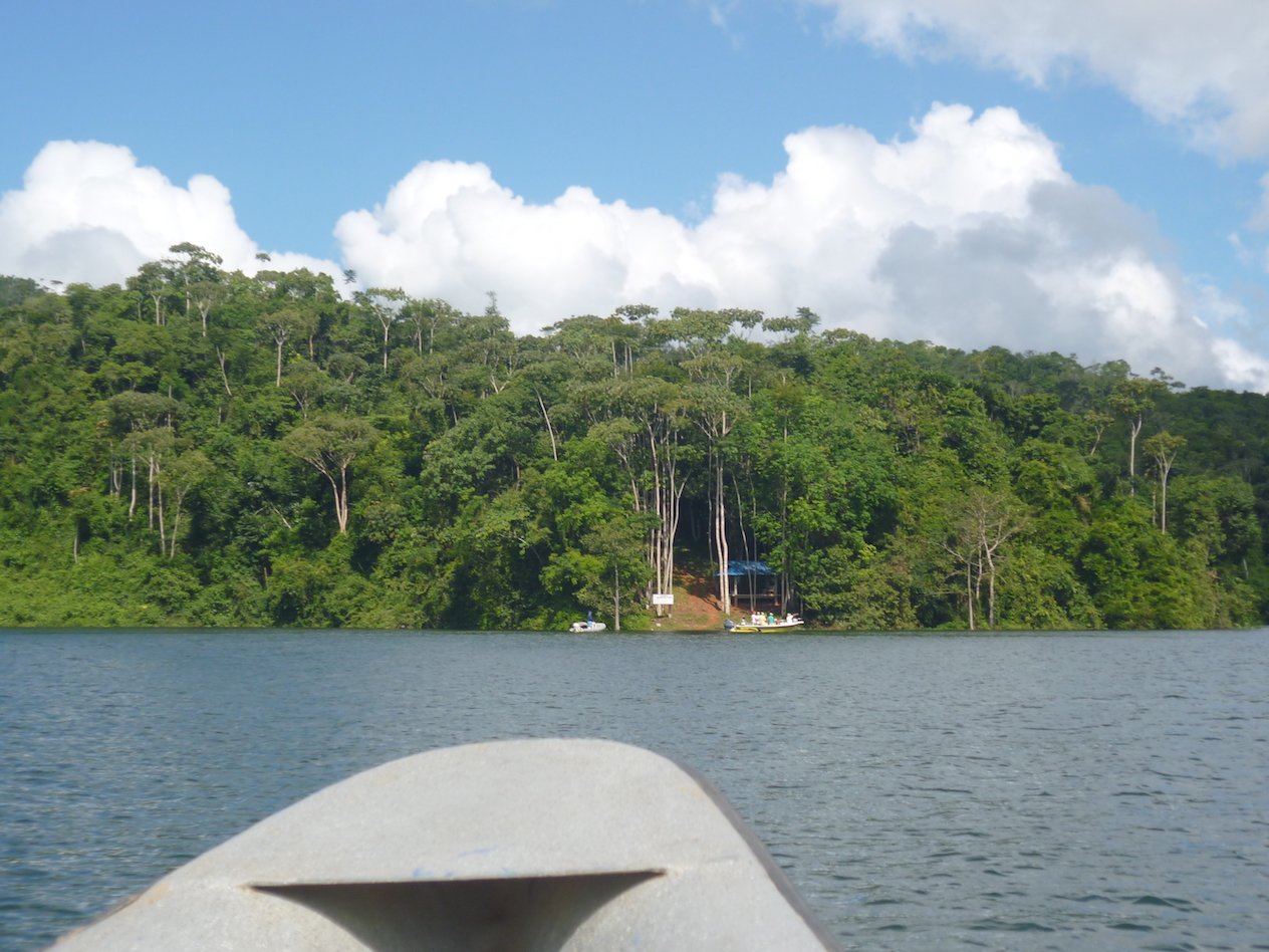 Monitoreo de macrófitas acuáticas del embalse
