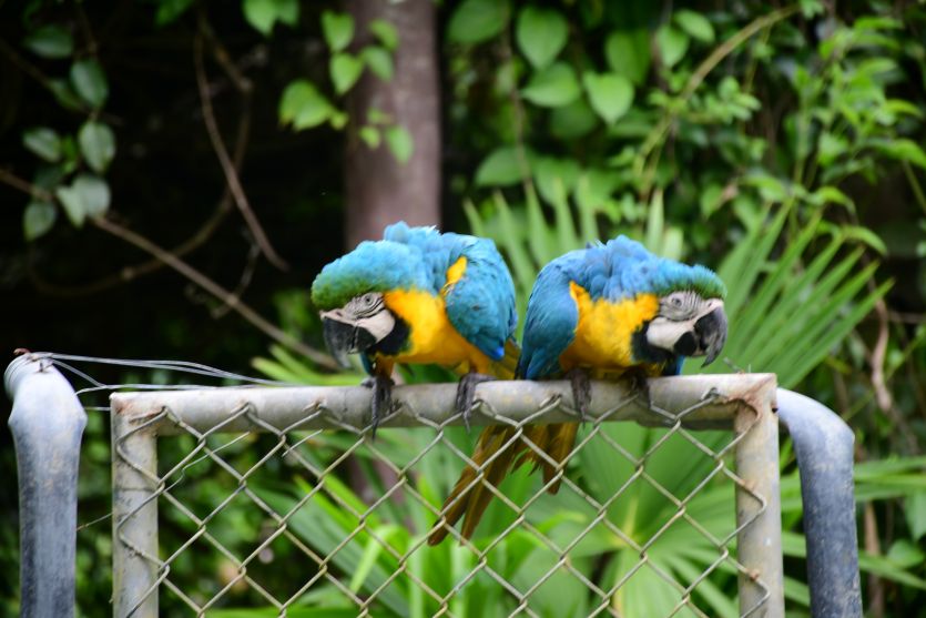 En el Día Mundial de la Conservación de la Naturaleza resaltamos la conservación y protección de sus hábitats
