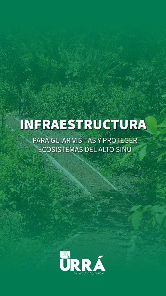 Construimos infraestructura clave para guiar visitas y proteger ecosistemas del Alto Sinú